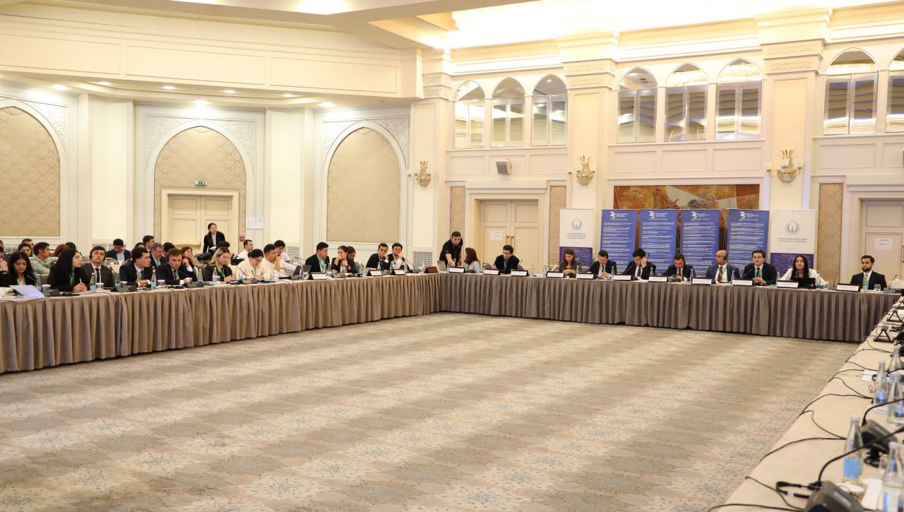 Promotion and protection of youth rights: international, regional and national mechanisms