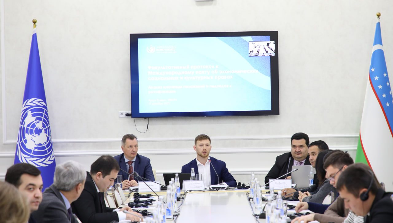 Развивая правовую защиту экономических и социальных прав