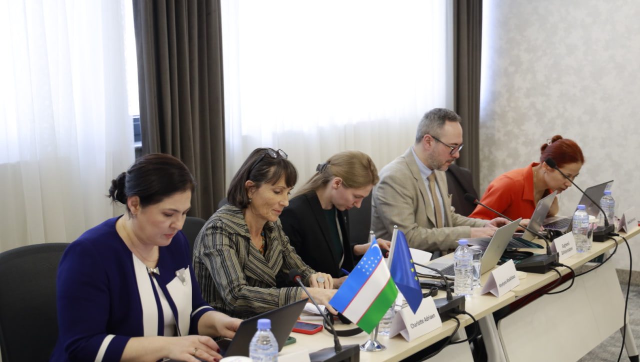 International standards on the rights of persons with disabilities are being studied