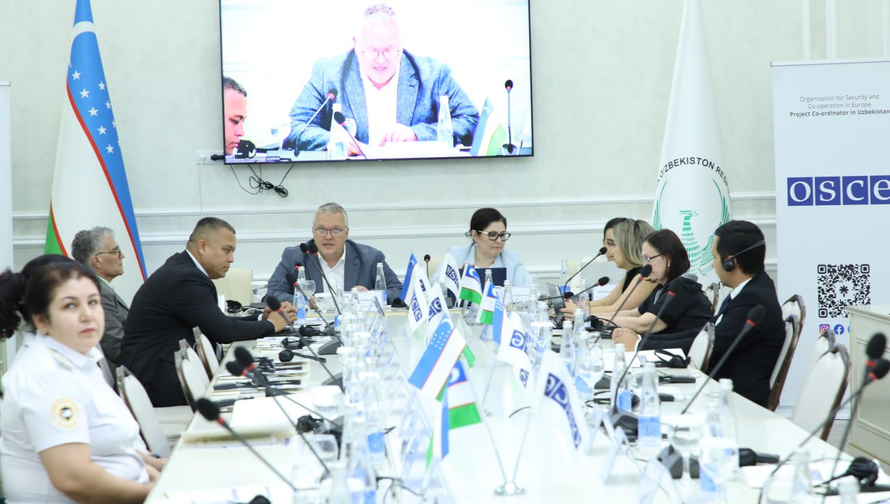 International and national legal mechanisms for preventing femicide discussed in Tashkent