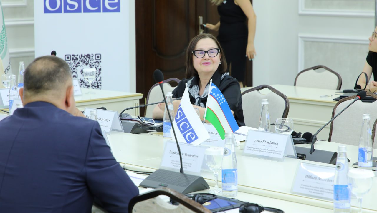 International and national legal mechanisms for preventing femicide discussed in Tashkent