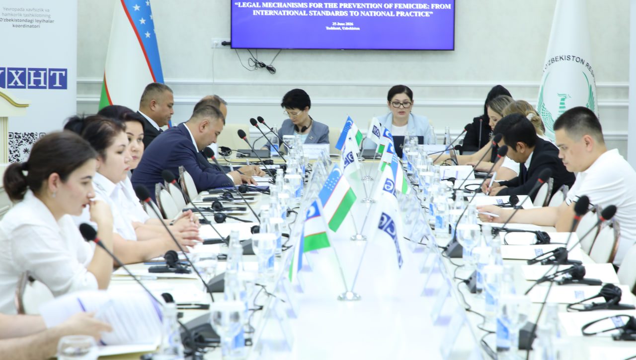 International and national legal mechanisms for preventing femicide discussed in Tashkent