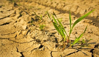 17 июнь – Жаҳон чўлланиш ва қурғоқчиликка қарши курашиш куни