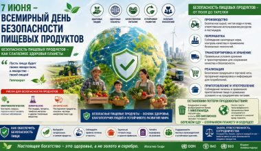 Безопасность пищевых продуктов, как слагаемое здоровья планеты