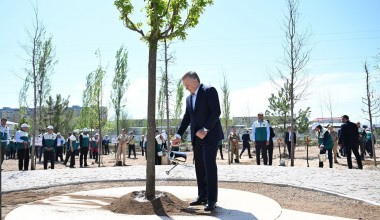 Milliy dendrologiya bogʻini barpo etishga start berildi