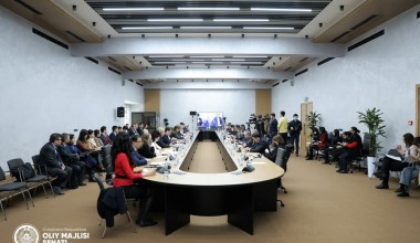 Демократия и права человека как факторы устойчивого развития