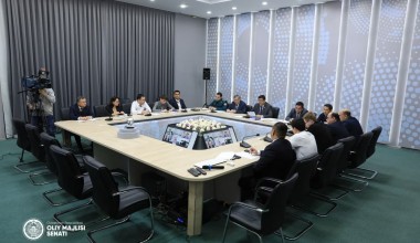 Перед пленарным заседанием прошло заседание комитета