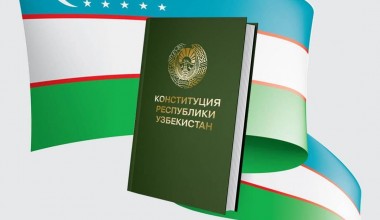 Суть изменений и дополнений, вносимых в Конституцию в части защиты прав человека (на примере подрастающего поколения)