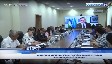 Укрепление института ювенальной юстиции в условиях конституционной реформы