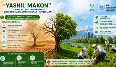 “Yashil makon” loyihasi va cho‘llanish hamda qurg‘oqchilikka qarshi kurash istiqbollari