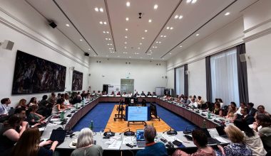 Uzbekistan's Experience in Legal Guarantees Presented in Vienna