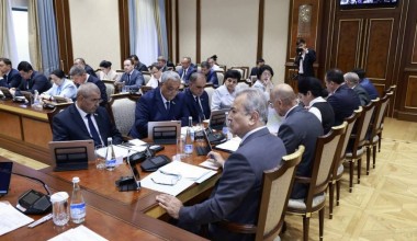 Senat: Onalik va bolalik masalalari bo‘yicha shtablar rasmiyatchilik uchun tashkil etilgan