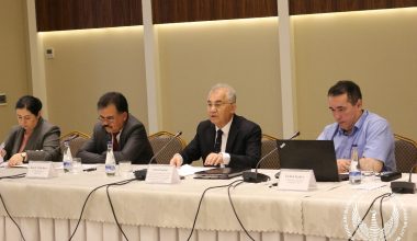Nogironlar huquqlari to‘g‘risidagi konvensiya qoidalarini amalga oshirishda davlat organlarining roli