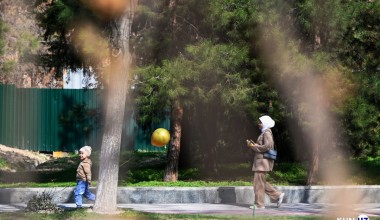 So‘rovnoma: Toshkentga qanday bog‘lar kerak?