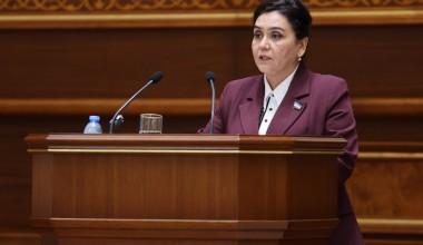 Будет направлен парламентский запрос по совершенствованию системы взыскания и уплаты алиментов на содержание несовершеннолетних детей