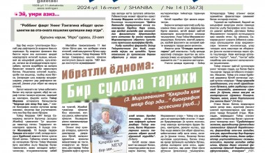 Ибратли ёднома: бир сулола тарихи
