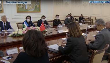 Встречи в рамках визита в нашу страну делегации Турецкой Республики