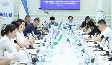 International and national legal mechanisms for preventing femicide discussed in Tashkent