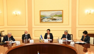 Состоялась встреча Председателя Сената Олий Мажлиса со Специальным докладчиком ООН