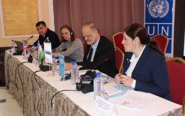 "BMTning Qiynoqlarga qarshi qo'mitasining tavsiyalarini bajarish bo'yicha keyingi qadamlar"
